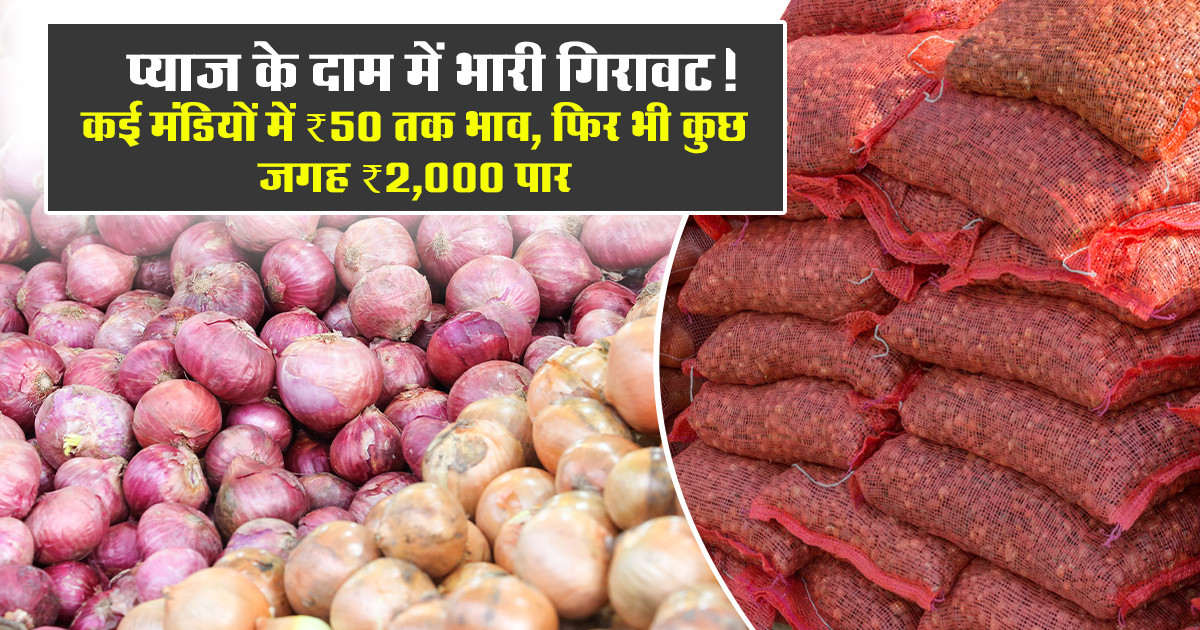 Onion Market Rates Today - (22 April, 2026)