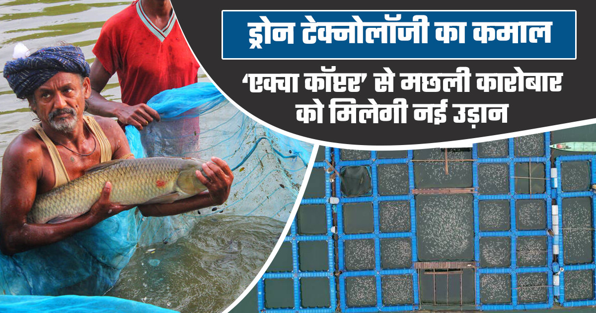 मछली परिवहन ड्रोन