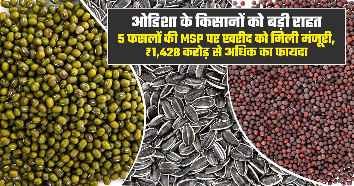 MSP पर फसल खरीद 2026