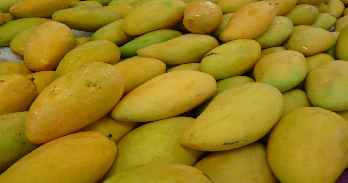 Mango Market Prices Today - (26 April 2026)