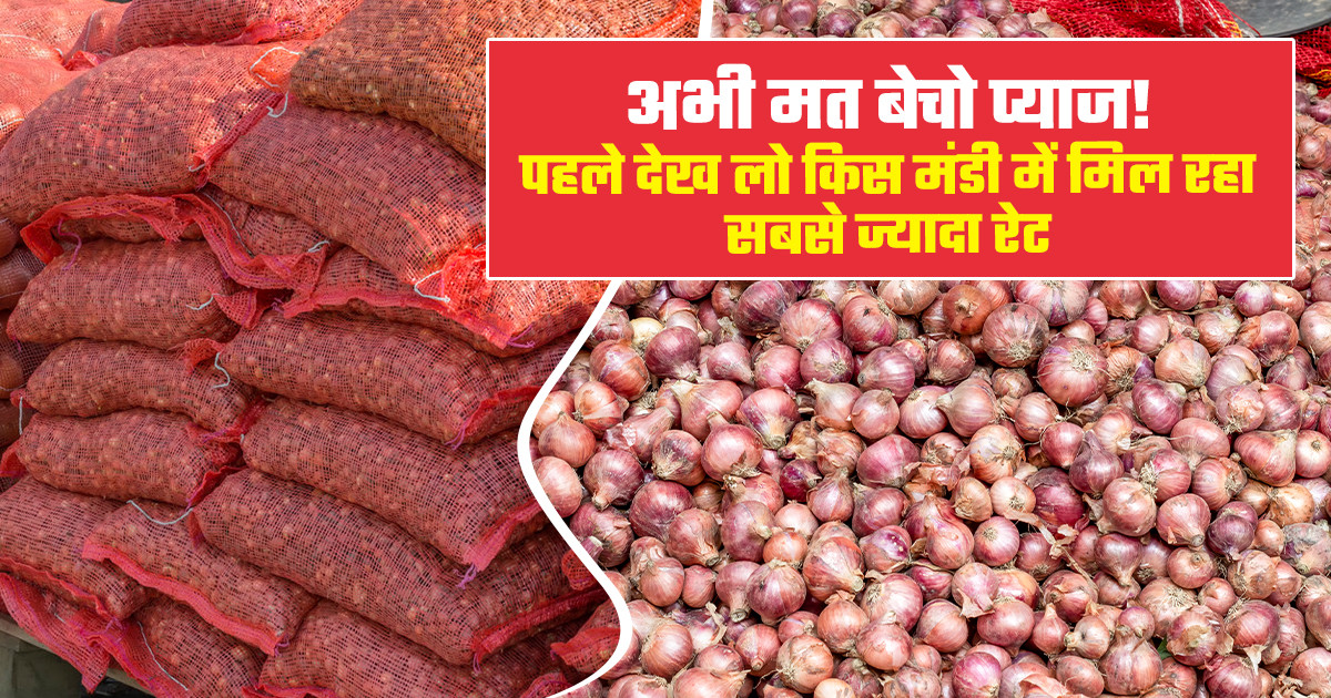 प्याज का भाव (27 अप्रैल, 2026)
