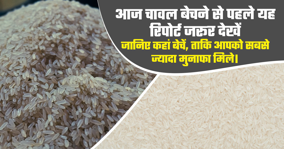 चावल का भाव (28 अप्रैल, 2026)