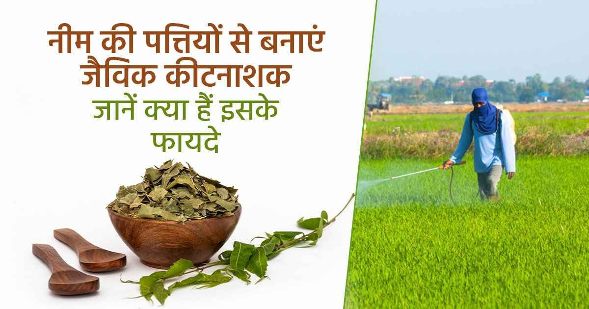 नीम का जैविक कीटनाशक