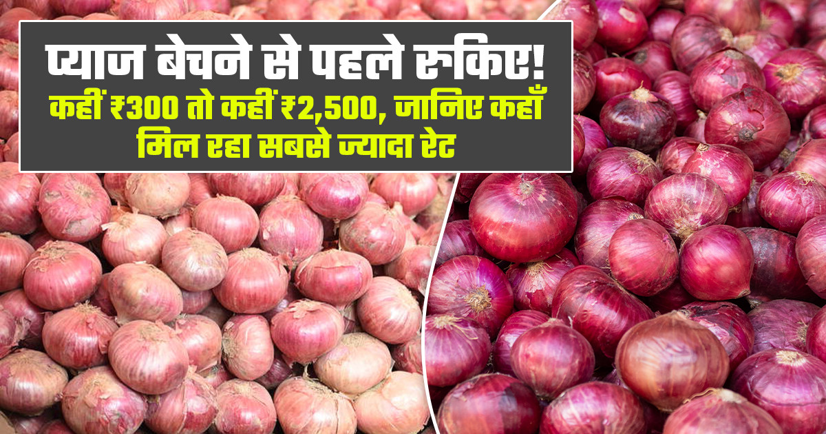 प्याज का भाव (05 मई 2026)