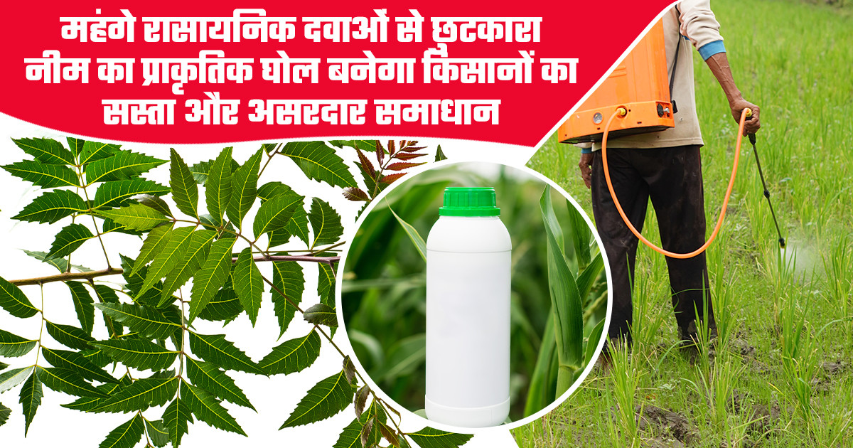 Neem Organic Pesticide for Farming
