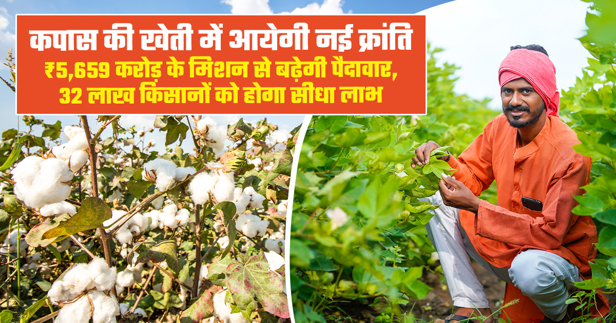 कपास उत्पादकता मिशन