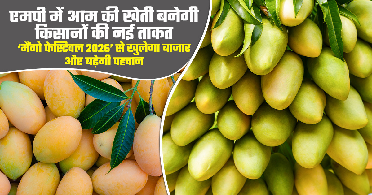 मध्यप्रदेश मैंगो फेस्टिवल