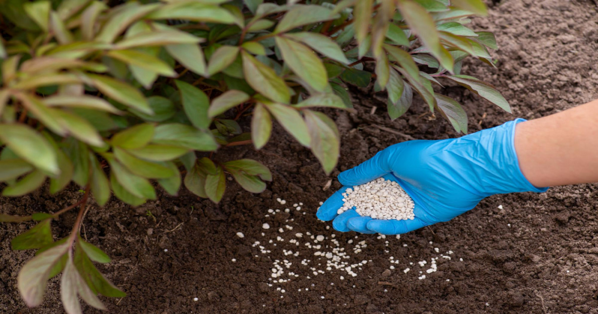 Kharif Season Fertilizer Stock