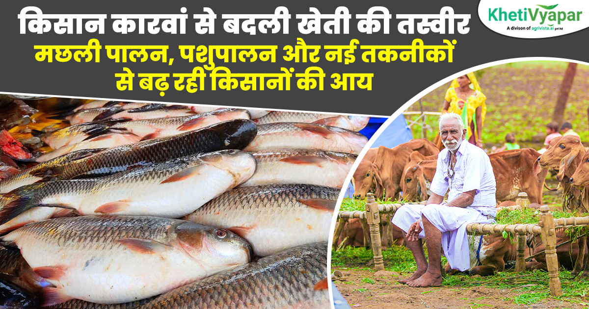 आधुनिक खेती से किसानों की बढ़ती आय