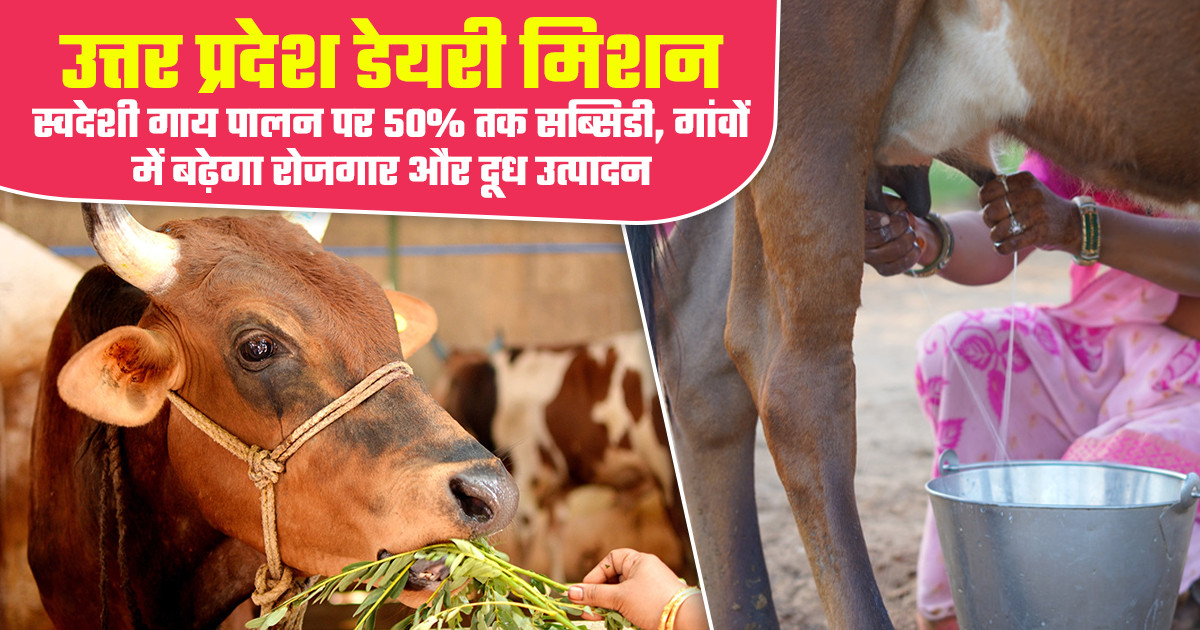 यूपी डेयरी योजना