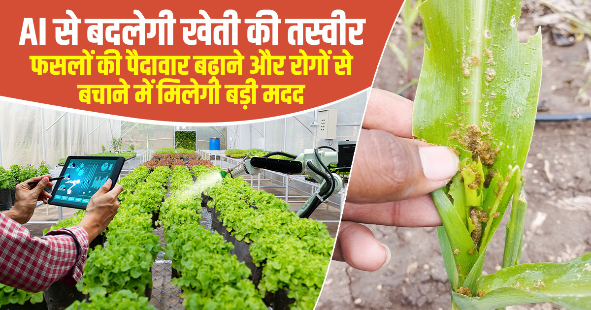 AI Genome Editing Tool for Crops