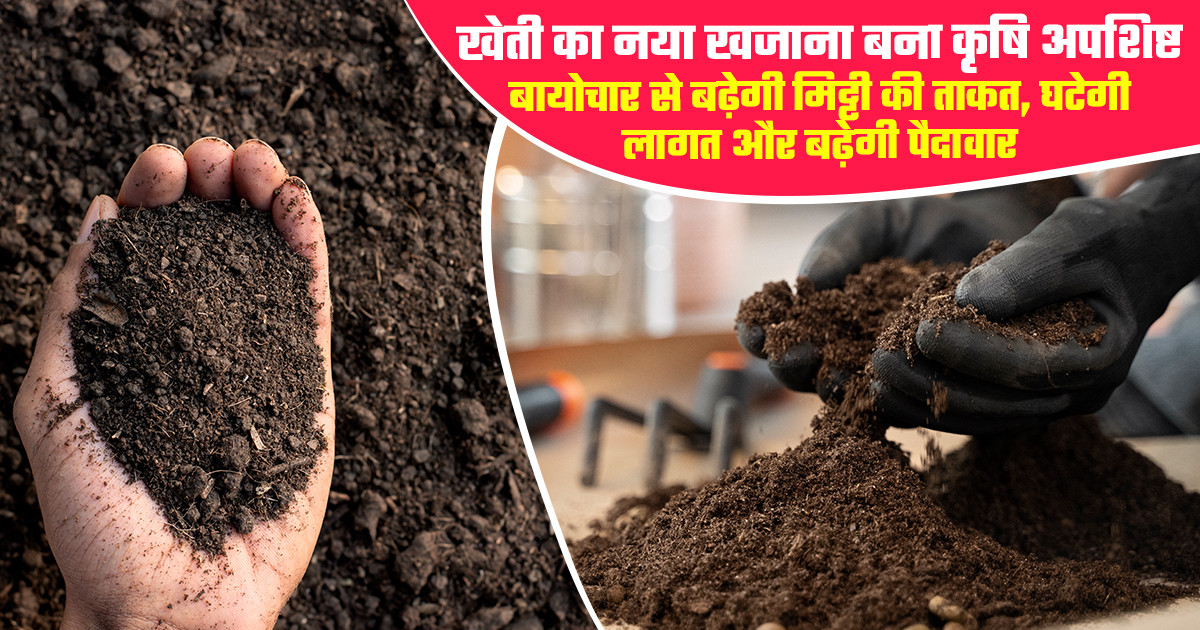 Biochar in Farming