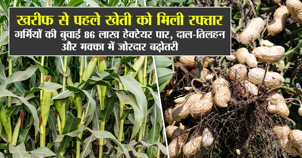खरीफ फसल बुवाई अपडेट