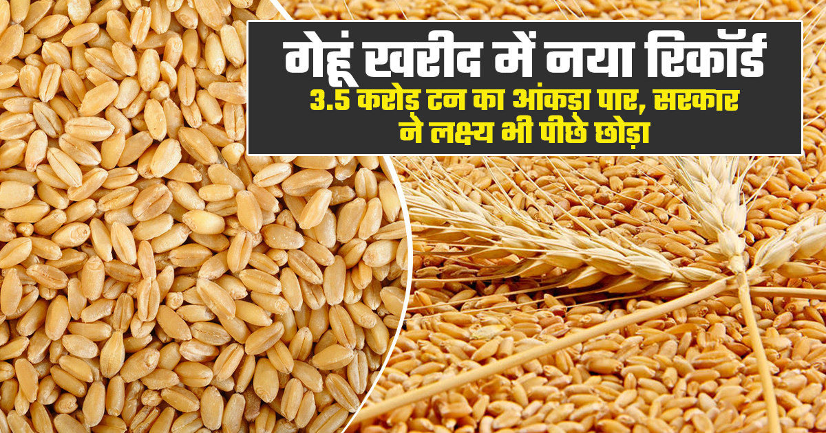 Wheat Procurement 2026-27
