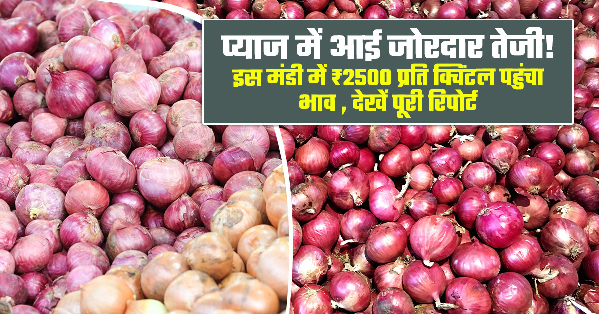 प्याज का भाव (06 जून, 2026)