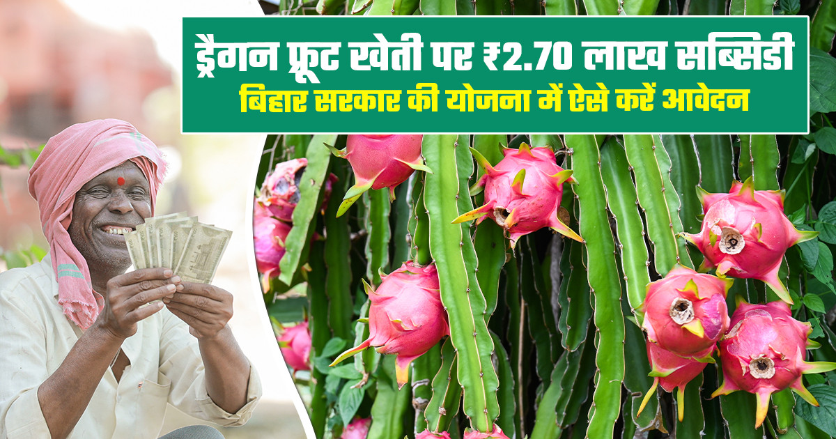 Bihar Dragon Fruit Subsidy Scheme