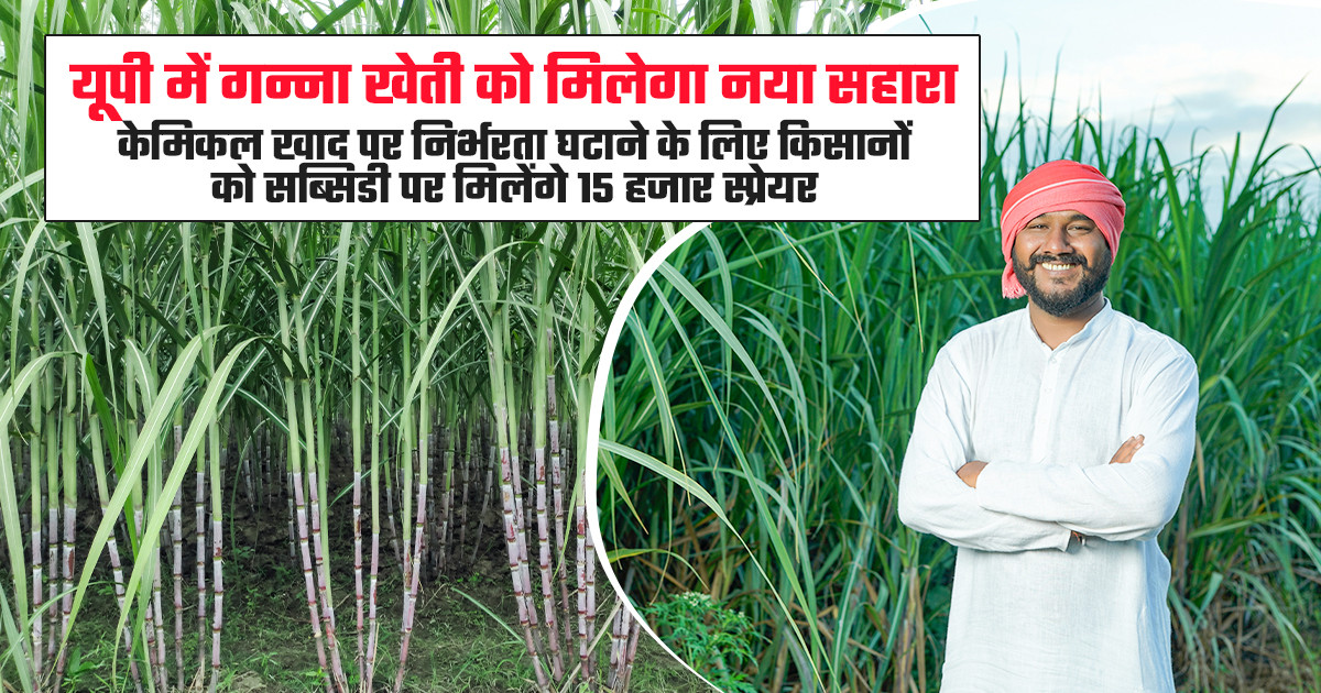 Smart Fertilizer in Sugarcane Farming