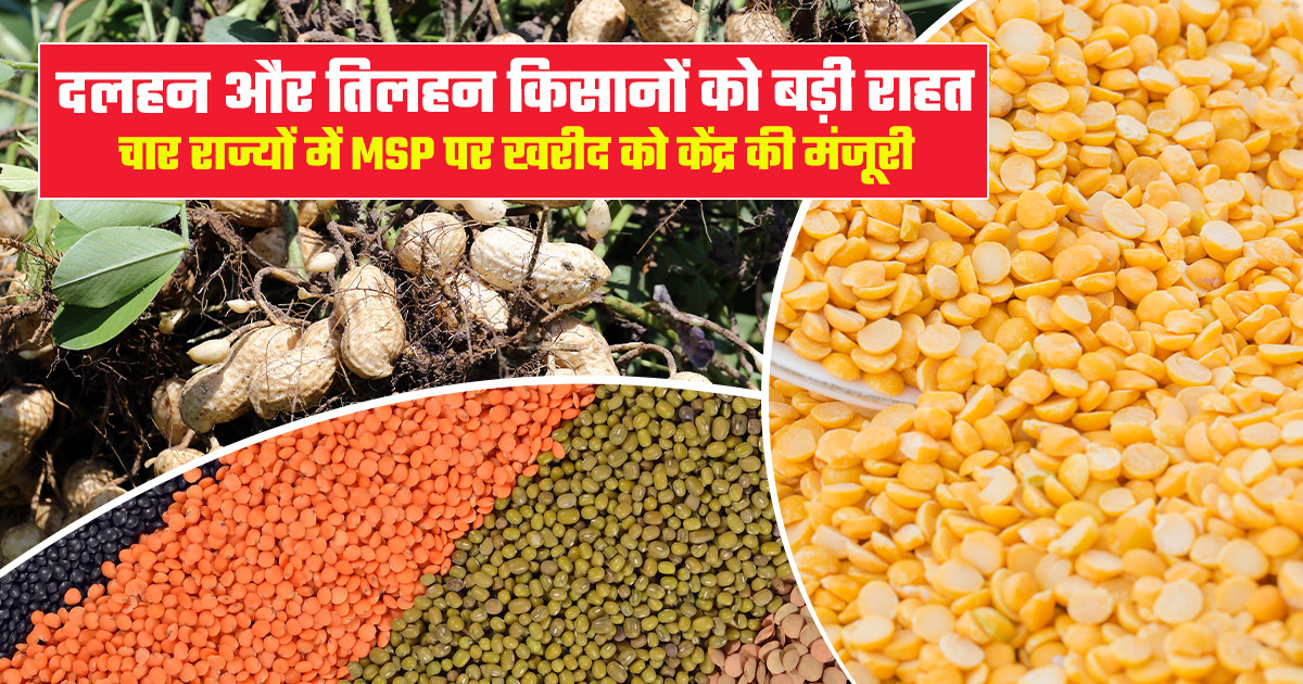 MSP पर सरकारी खरीद