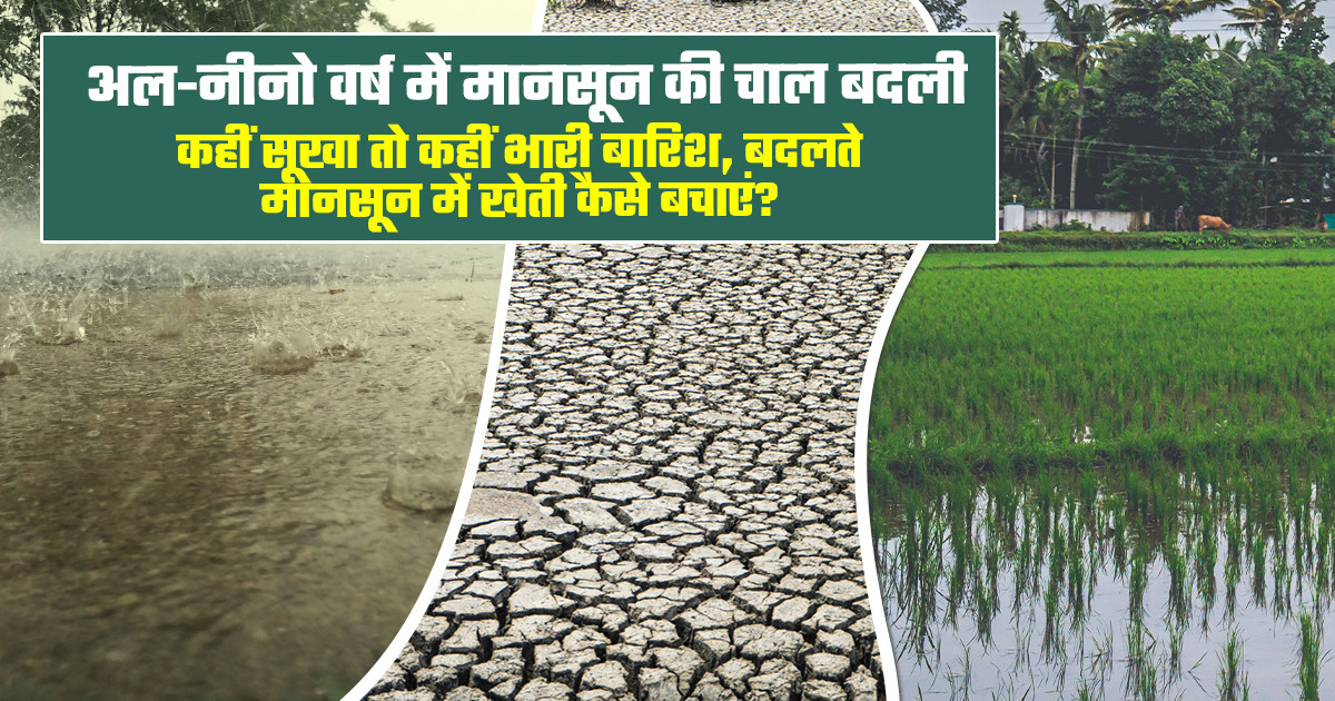 El Niño Impact on Farming
