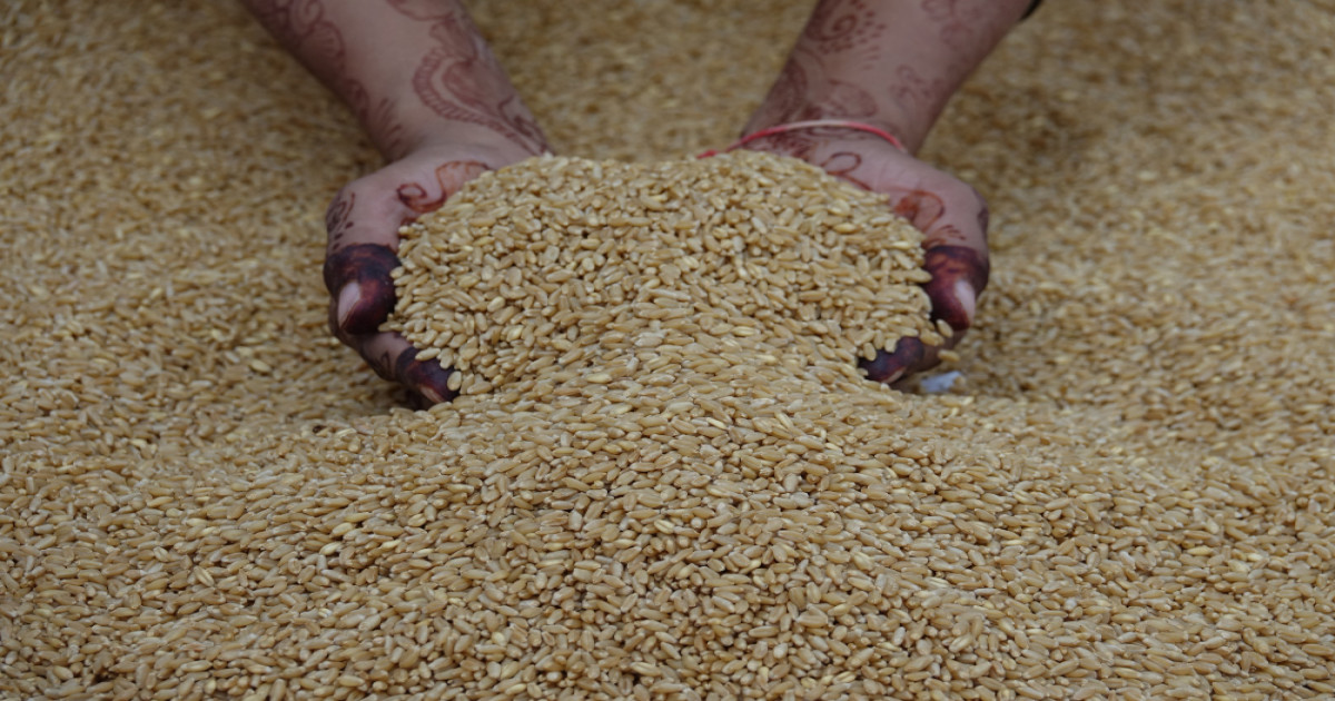 Kharif Crop Cultivation Cost