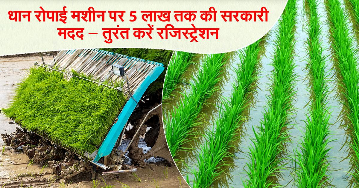 धान की रोपाई मशीन