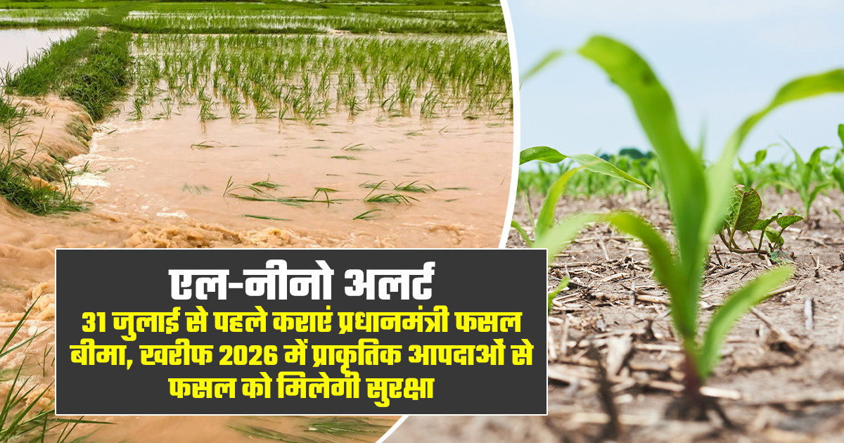 प्रधानमंत्री फसल बीमा योजना 2026