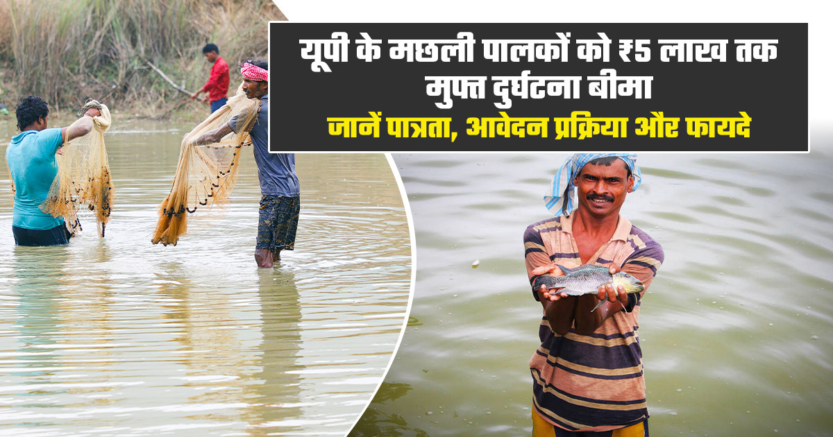 यूपी मछली पालक मुफ्त दुर्घटना बीमा योजना