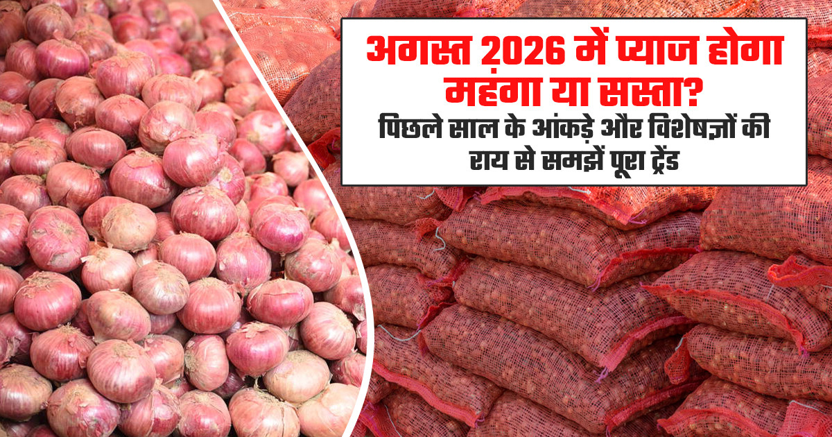 Onion Prices August 2026