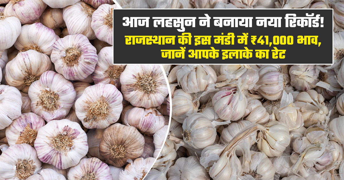 मंडी में लहसुन के दाम आसमान छू रहे हैं