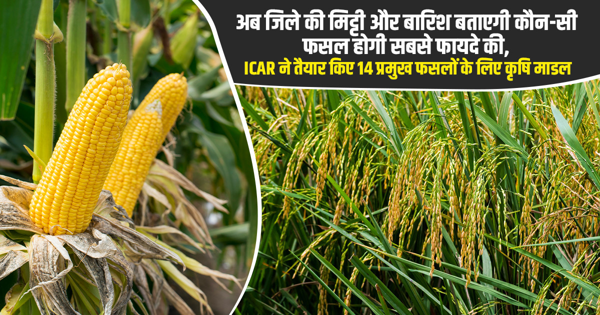 ICAR ने बताया हर जिले के लिए सही फसल चुनने का तरीका