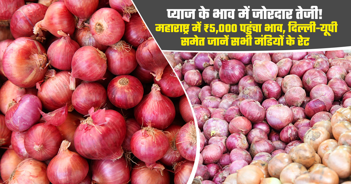 प्याज का मंडी भाव आज का