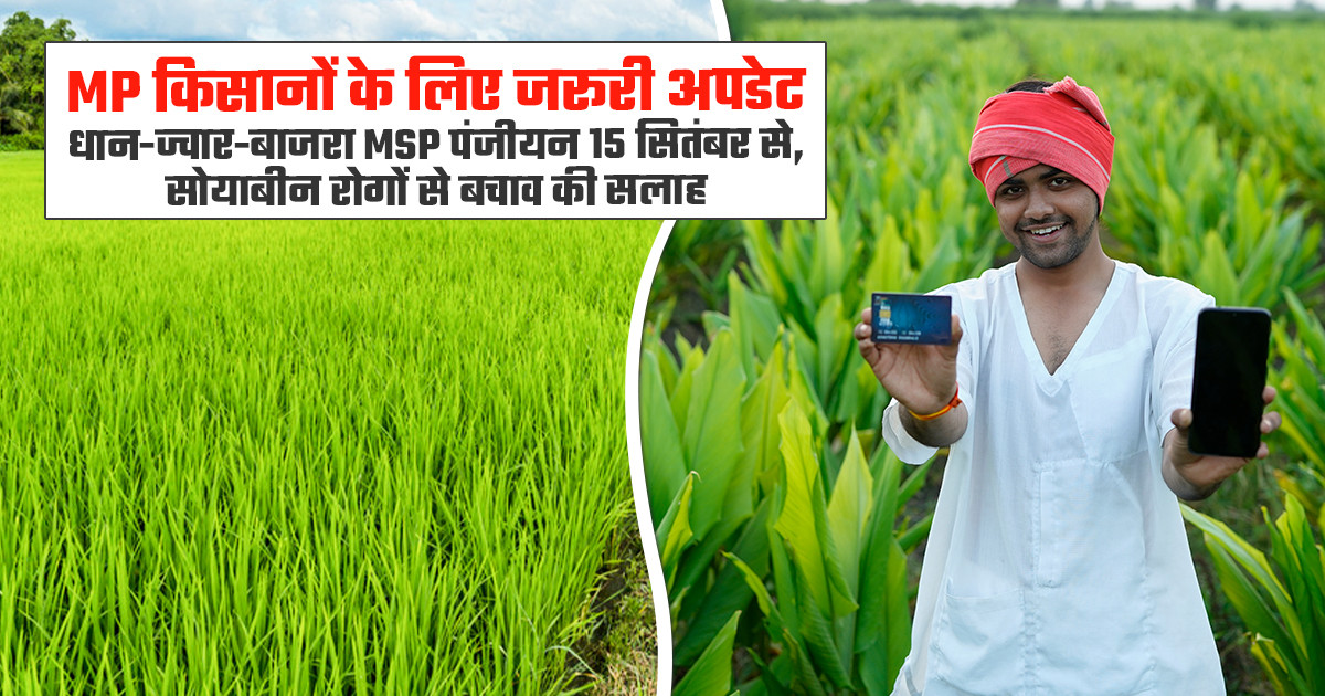 MP में धान-ज्वार-बाजरा की MSP खरीद, 15 सितंबर से पंजीयन शुरू