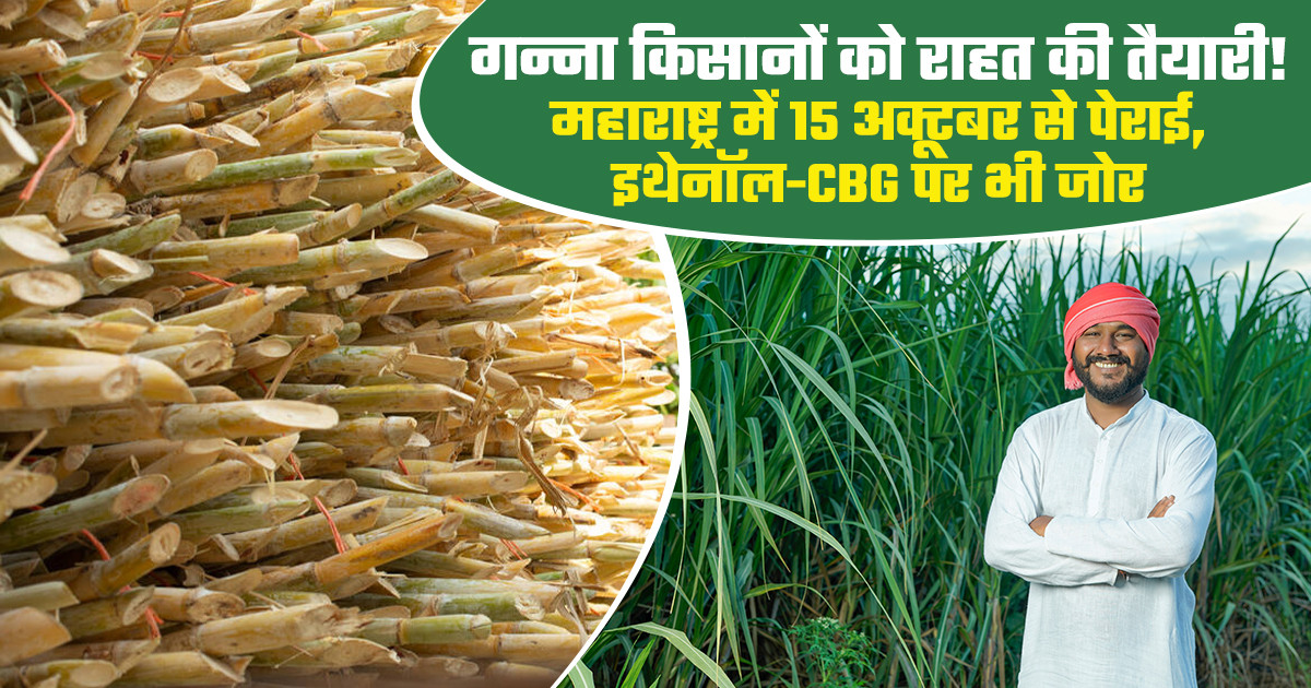 Maharashtra sugarcane crushing season 2026-27 to start October 15