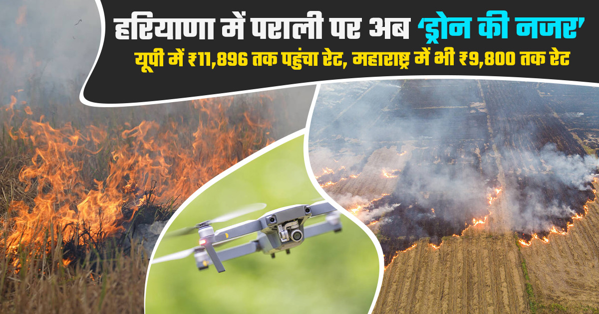 हरियाणा के खेतों में पराली जलाने से रोकने के लिए आसमान से नि...