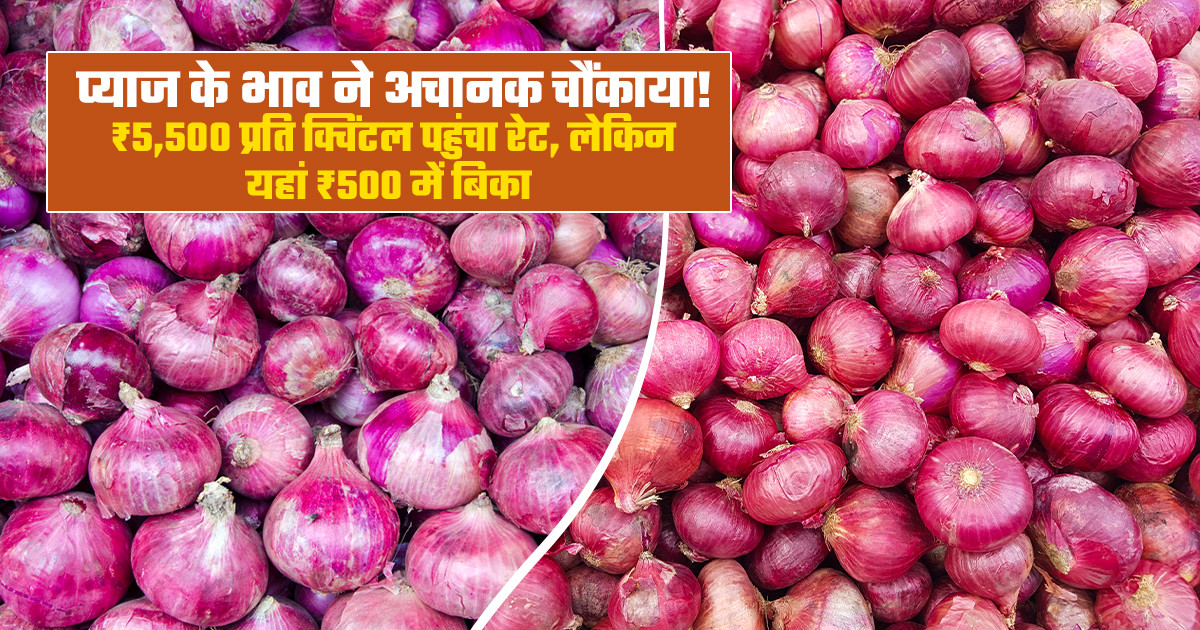 आज प्याज का मंडी भाव (29 सितंबर, 2026)