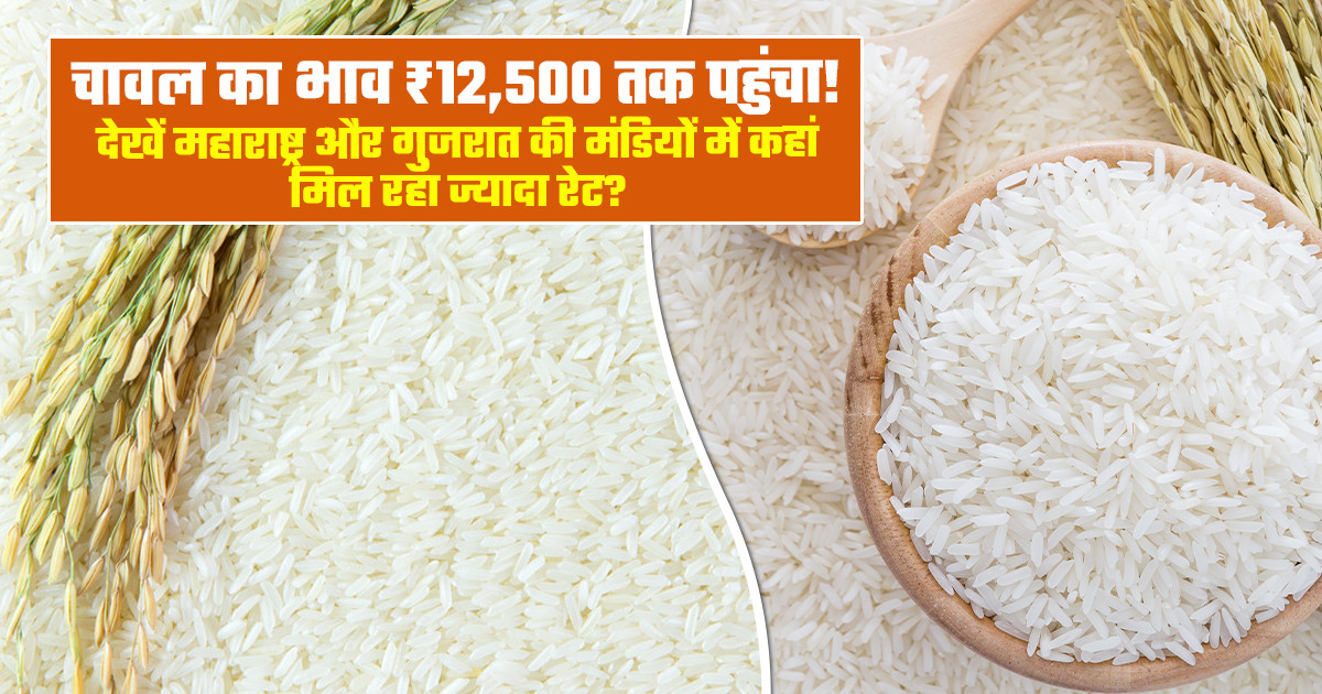 आज चावल का मंडी भाव (17 अक्टूबर, 2026)