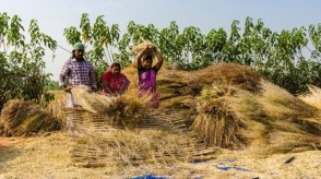 महिला सम्मान बचत प्रमाणपत्र स्कीम से महिलाओं को होंगे कई फायदे: जमापुंजी की बचत करके भविष्य में आत्मनिर्भर बन सकेंगी, जानिए कैसे करें आवेदन