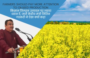 Farmers Should Pay More Attention to Oilseed Production in Hindi:  किसान तिलहन उत्‍पादन पर ज्‍यादा ध्‍यान दें, जानें केंद्रीय मंत्री नितिन गडकरी ने ऐसा क्‍यों कहा?