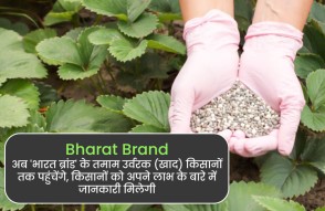 Bharat Brand in Hindi: अब ‘भारत ब्रांड’ के मिलेंगे सभी उर्वरक (Fertilizer), किसान जानें अपने फायदे की बात