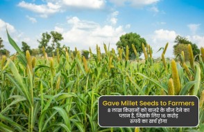 Gave Millet Seeds to Farmers in Hindi: 8 लाख किसानों को बाजरे के बीज दिए जाएंगे, प्लान पर खर्च होगी 16 करोड़ की धनराशि