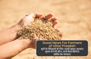 Good News For Farmers of UP in Hindi: यूपी के किसानों के लिए अच्छी खबर! सरकार मुफ्त में देगी बीज, जानें कैसे मिलेगा स्कीम का फायदा