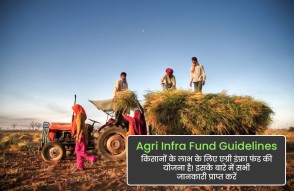 Agri Infra Fund Guidelines in Hindi: किसानों के फायदे की योजना है एग्री इंफ्रा फंड! जानिए इसके बारे में सब कुछ