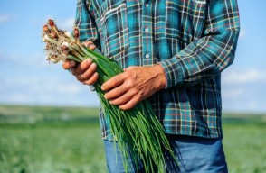 Happy Time For Farmers of Odisha in Hindi:ओडिशा के किसान खुश हो जाएं, फसल बीमा योजना में किसानों के प्रीमियम का हिस्‍सा सरकार देगी