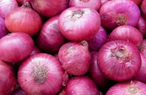 31 जुलाई को जारी भारतीय मडियों में प्याज का अधिकतम व न्यूनतम भाव