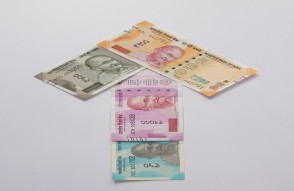 बिहार के मुजफ्फरपुर में किसानों को होगी अच्छी कमाई    (Farmers will earn good income in Muzaffarpur, Bihar)