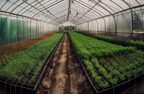 2026 तक सब्जी उत्पादन में 100 फीसदी आत्मनिर्भर बन जाएगा