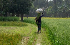 Monsoon Active in Eastern India For 5 days in Hindi: आगामी 5 दिनों तक उत्तरी पेनिन्सुलर, मध्य और आसपास के पूर्वी भारत में सक्रिय मानसून की स्थिति का संभावना
