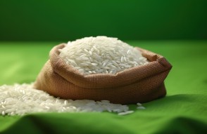 13 सितम्बर को जारी मुख्य मडियों में धान की प्रमुख वेरायटी के औसतन भाव