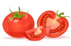 16 सितम्बर को जारी भारतीय मडियों में टमाटर का अधिकतम व न्यूनतम भाव