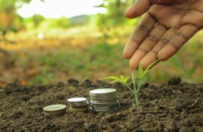 2023-24 फसल वर्ष में तीन राज्यों के 27,000 किसानों को देगी अफीम पोस्त की खेती का लाइसेंस